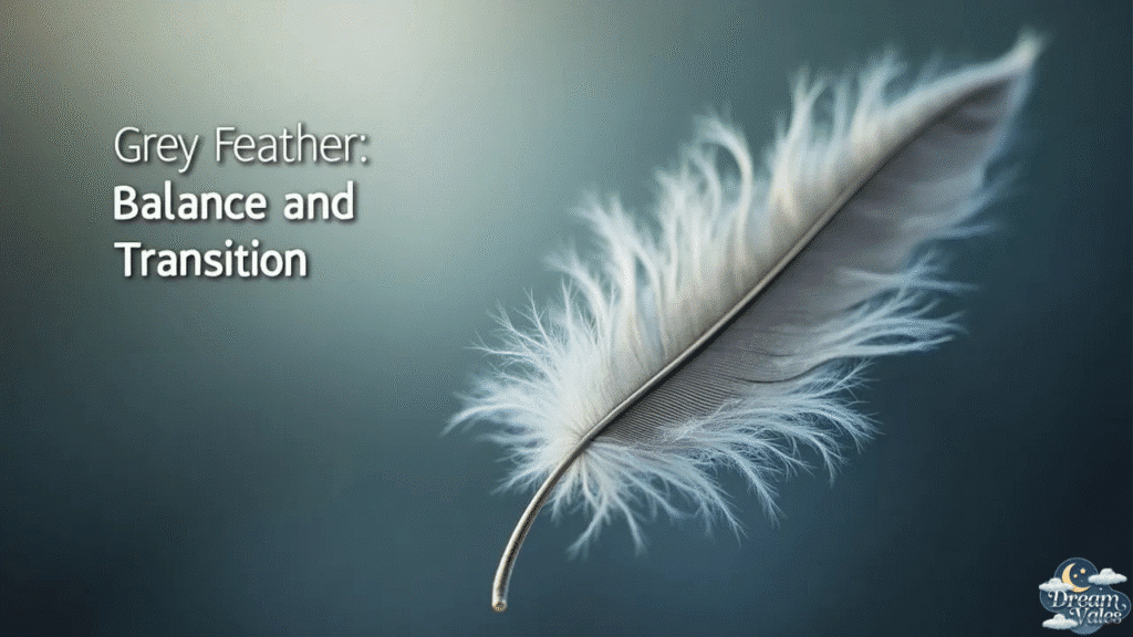 Grey Feather Meaning
